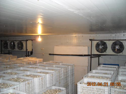 永吉县高新柞蚕科学技术研究所