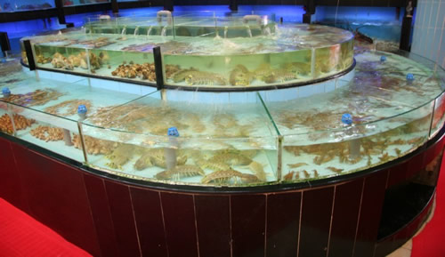 蛟河信元酒店——海鲜养殖